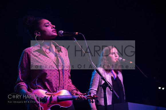 The New Pornographers