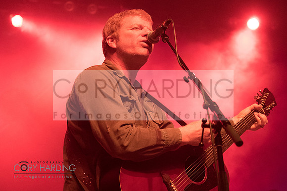 The New Pornographers