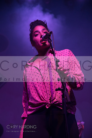 The New Pornographers