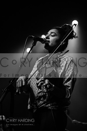 The New Pornographers