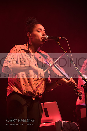 The New Pornographers