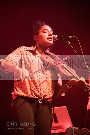 The New Pornographers