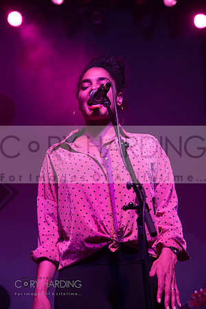 The New Pornographers