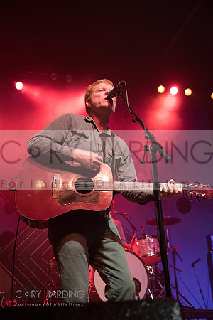 The New Pornographers