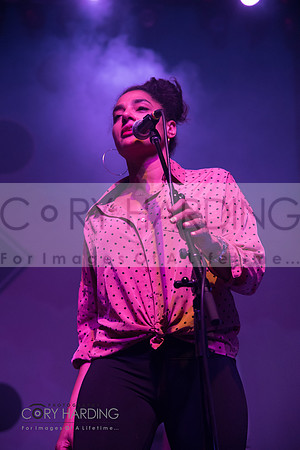 The New Pornographers
