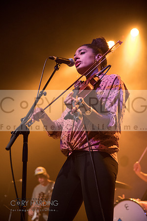 The New Pornographers