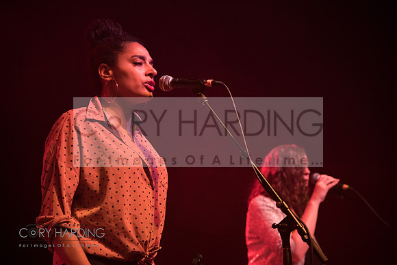 The New Pornographers