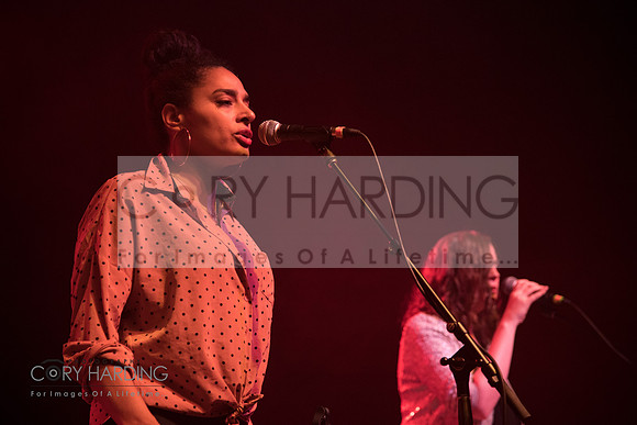 The New Pornographers