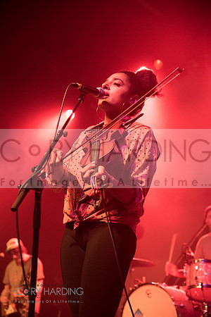 The New Pornographers