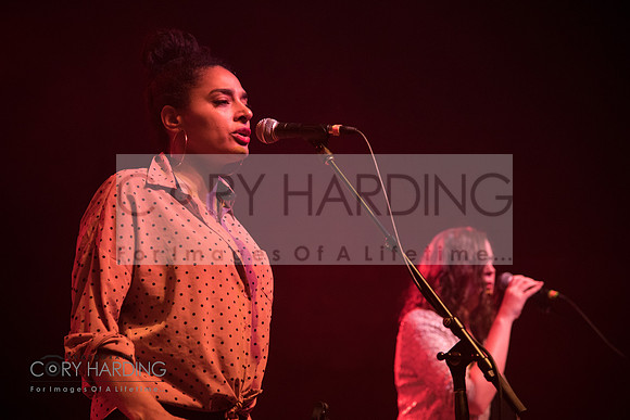 The New Pornographers