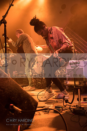 The New Pornographers