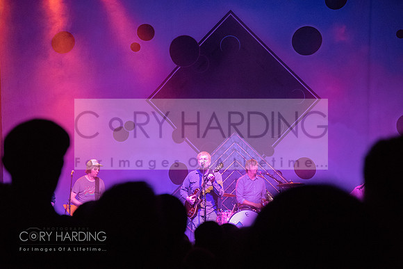 The New Pornographers