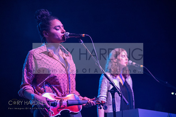 The New Pornographers