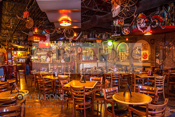 Regal Beagle Promotional - Venue