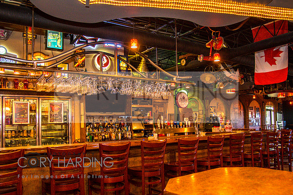 Regal Beagle Promotional - Venue
