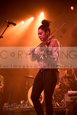 The New Pornographers