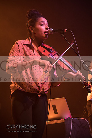 The New Pornographers