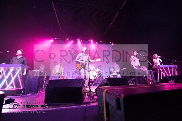 The New Pornographers
