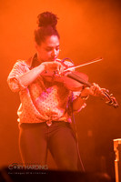 The New Pornographers