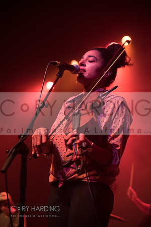 The New Pornographers