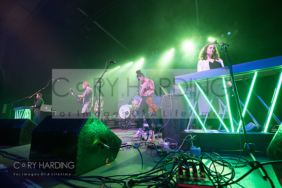 The New Pornographers