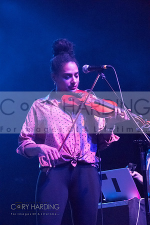 The New Pornographers