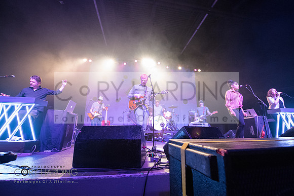 The New Pornographers