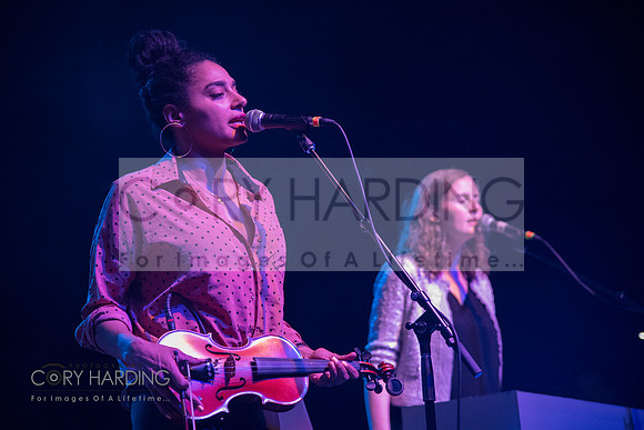 The New Pornographers