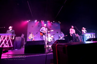 The New Pornographers