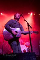 The New Pornographers