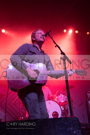 The New Pornographers