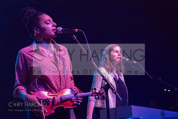 The New Pornographers