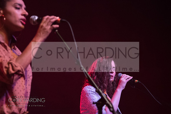 The New Pornographers