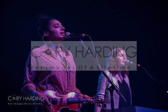 The New Pornographers