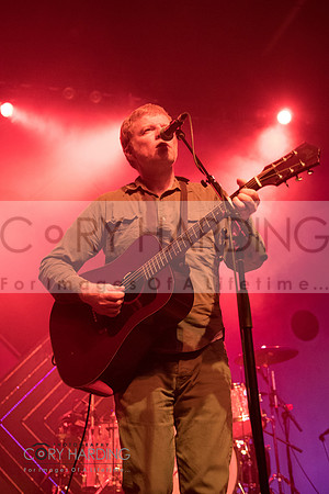 The New Pornographers