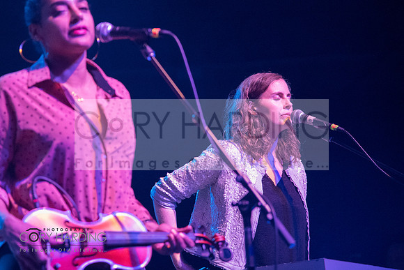 The New Pornographers