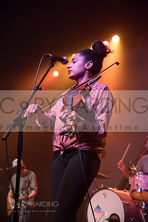 The New Pornographers