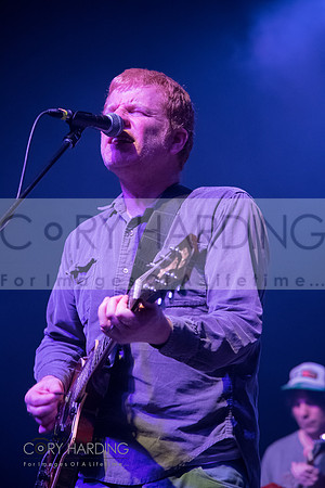 The New Pornographers