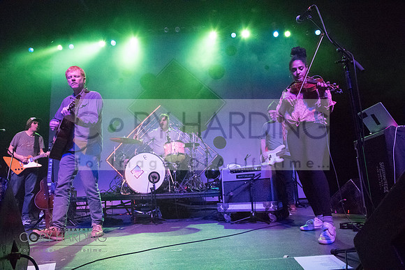 The New Pornographers
