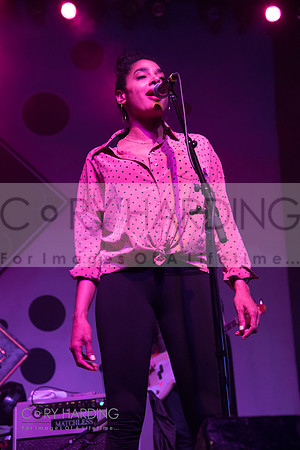 The New Pornographers
