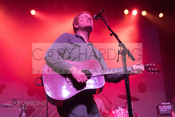 The New Pornographers