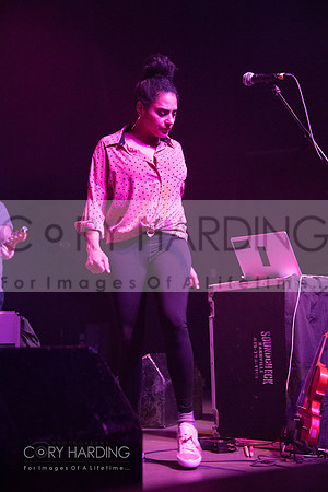 The New Pornographers