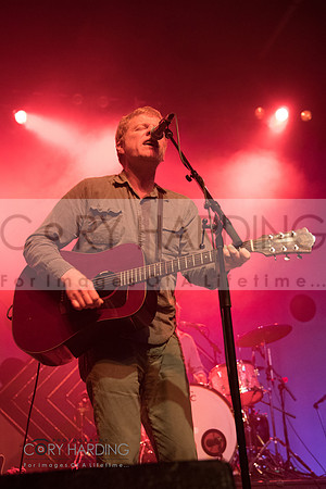 The New Pornographers