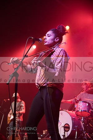 The New Pornographers