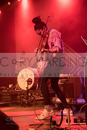 The New Pornographers