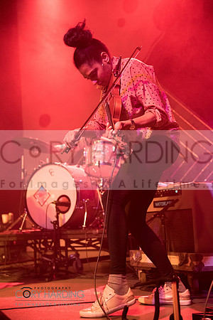 The New Pornographers