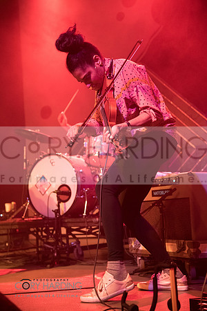 The New Pornographers