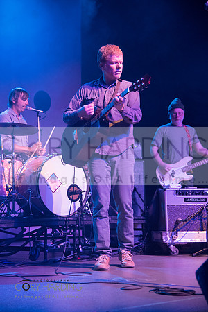 The New Pornographers