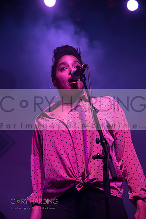 The New Pornographers