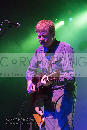 The New Pornographers